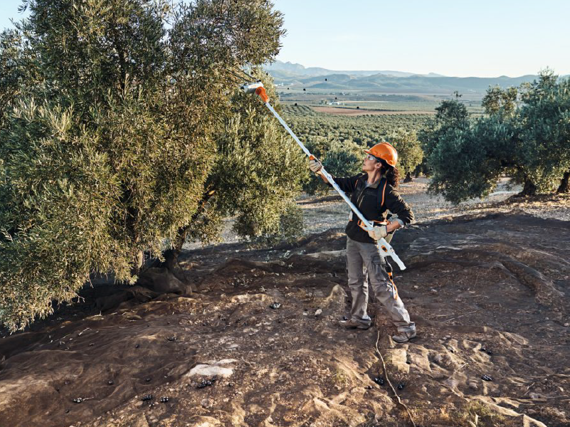 Vareador de batería SPA 140, sin batería ni cargador 2 Vareador de batería SPA 140, sin batería ni cargador - Imagen 2