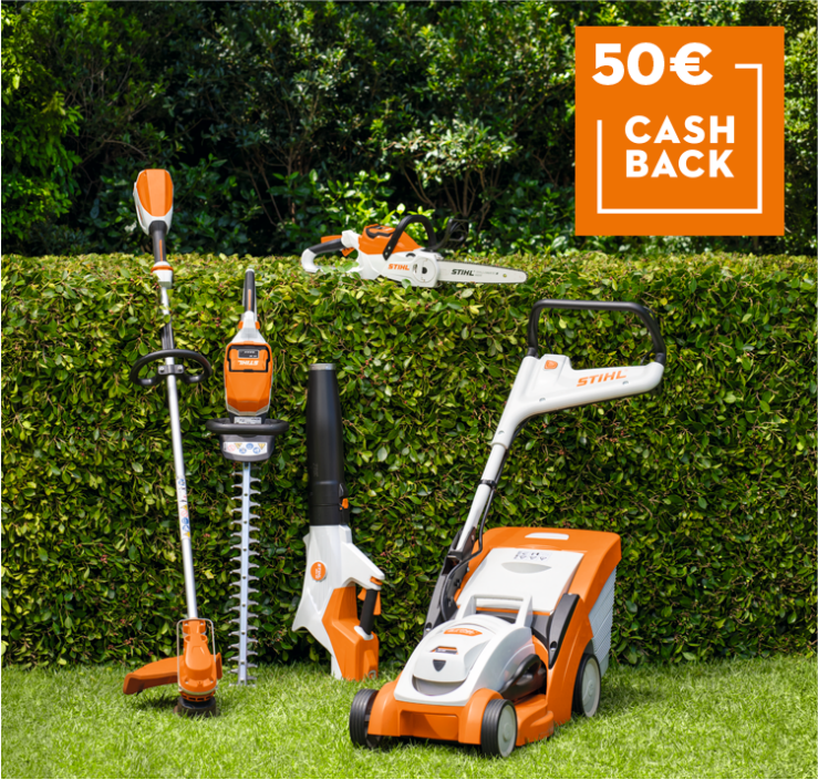oferta cashback